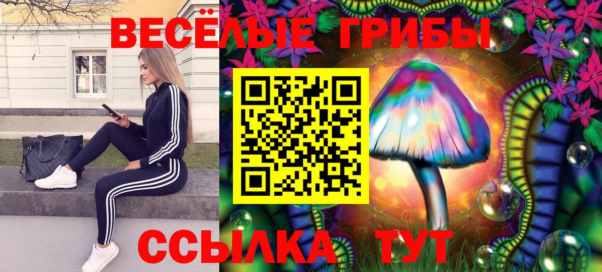 Псилоцибиновые грибы MAGIC MUSHROOMS Краснознаменск