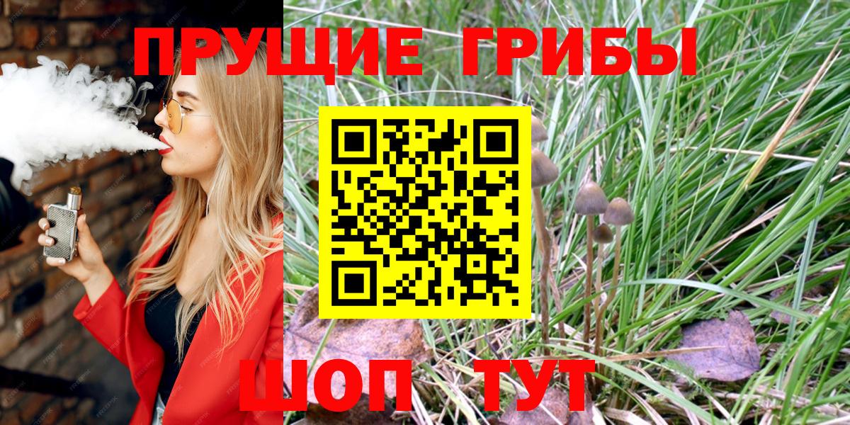купить   Псилоцибиновые грибы мицелий  Вход с VPN  Краснознаменск 